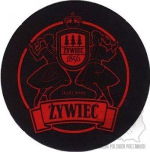 zywbz-110a