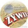 k-zywbz-002r